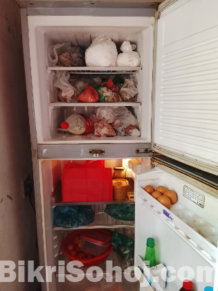 Marcel 12 sft frieze